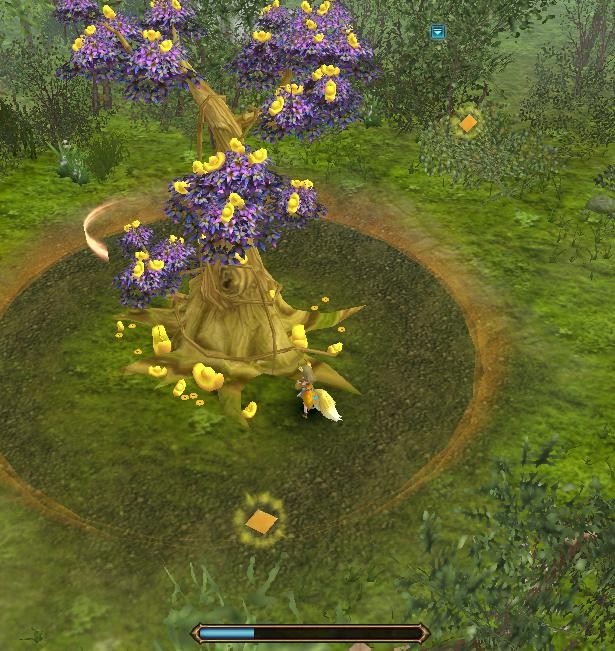 蜀门庄园摇钱树怎样种植”